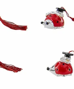 Bomboniere SILVER COCCINELLA NAPPINA (esclusa scatola)